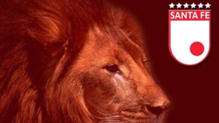 Presidente del Santa Fe niega relaciones con capturados en operación antidrogas