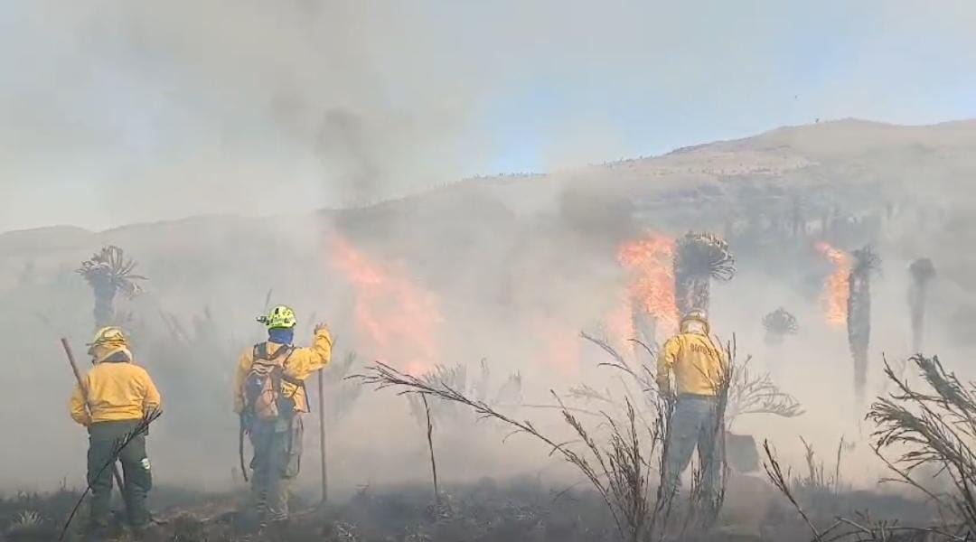 El fuerte incendio forestal en el páramo La Cortadora del municipio de Siachoque,  Boyacá, amenaza con llegar a los municipios de Pesca y Toca / Foto: Suministrada.