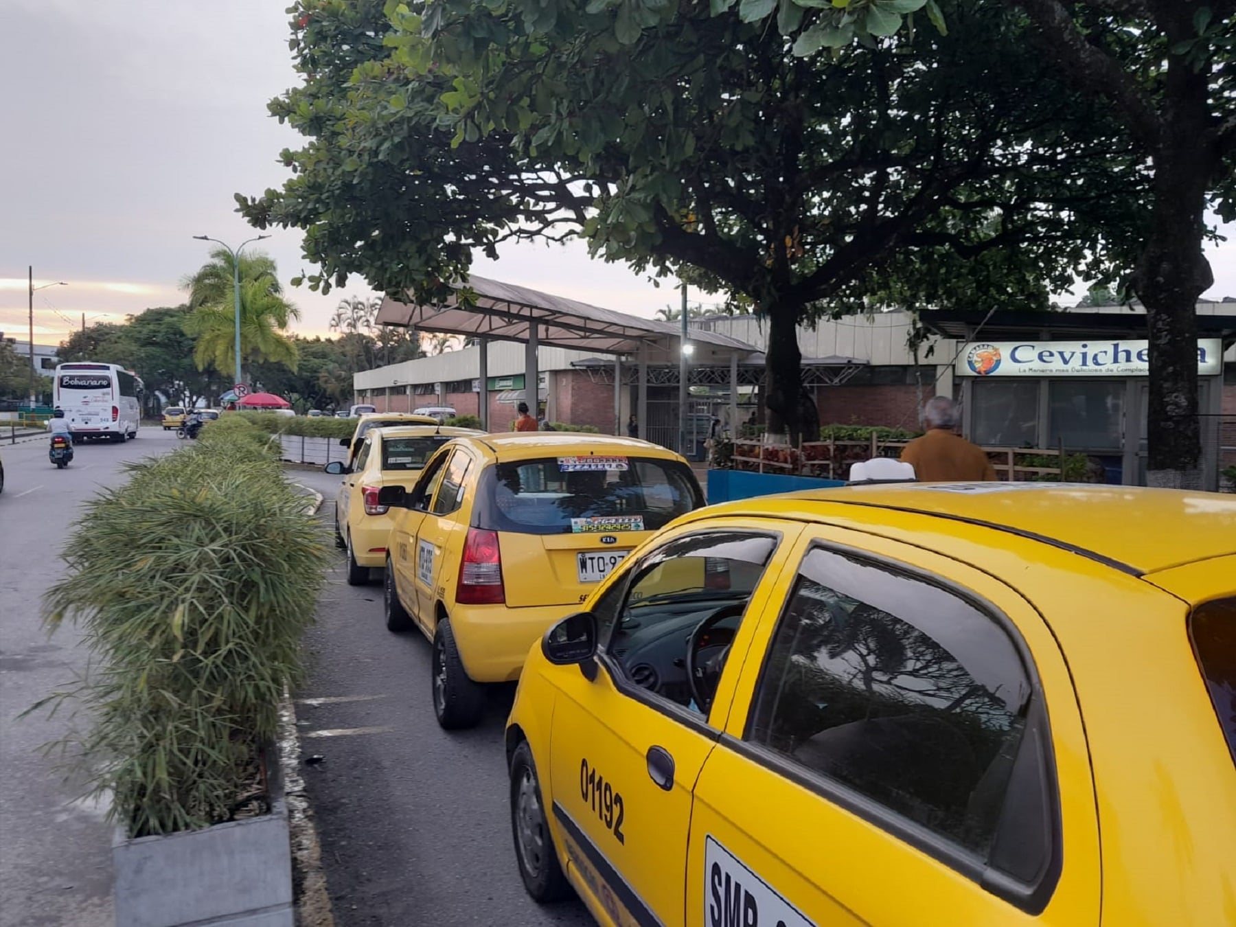 Taxis parqueados en Ibagué