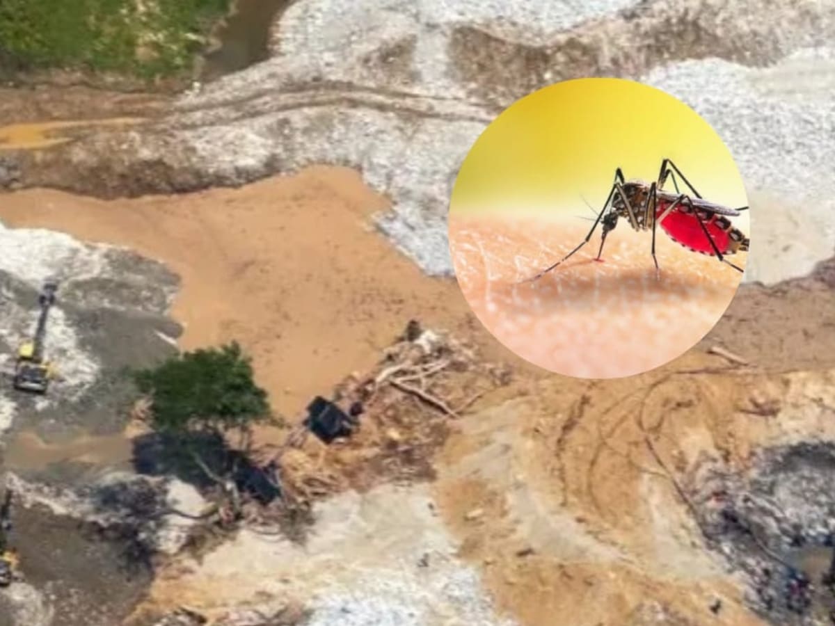 Confirman brote de malaria en zonas de minería ilegal en Ataco, Tolima