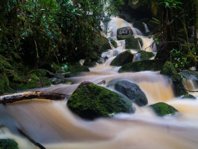 Páramo de Mamapacha y Bijagual en declaratoria como área protegida