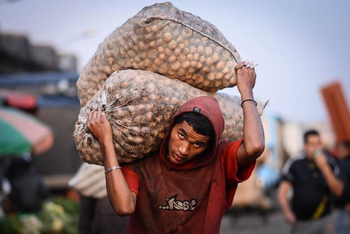 Tienen 42 años de historia, 1.381 accionistas y se inician las labores desde las 2:00 am. Cuenta con 57 bodegas, hay 6.500 comerciantes mayoristas y minoristas y se movilizan 12.400 toneladas diarias de alimentos.