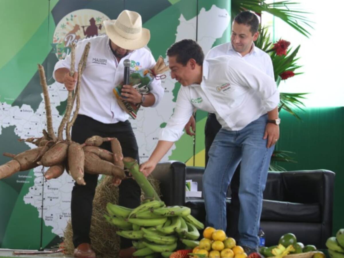 En Boyacá crean incentivo de capitalización para el agro