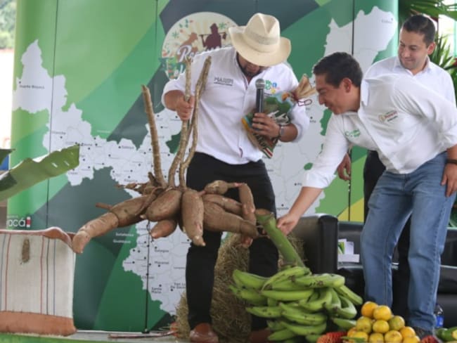En Boyacá crean incentivo de capitalización para el agro