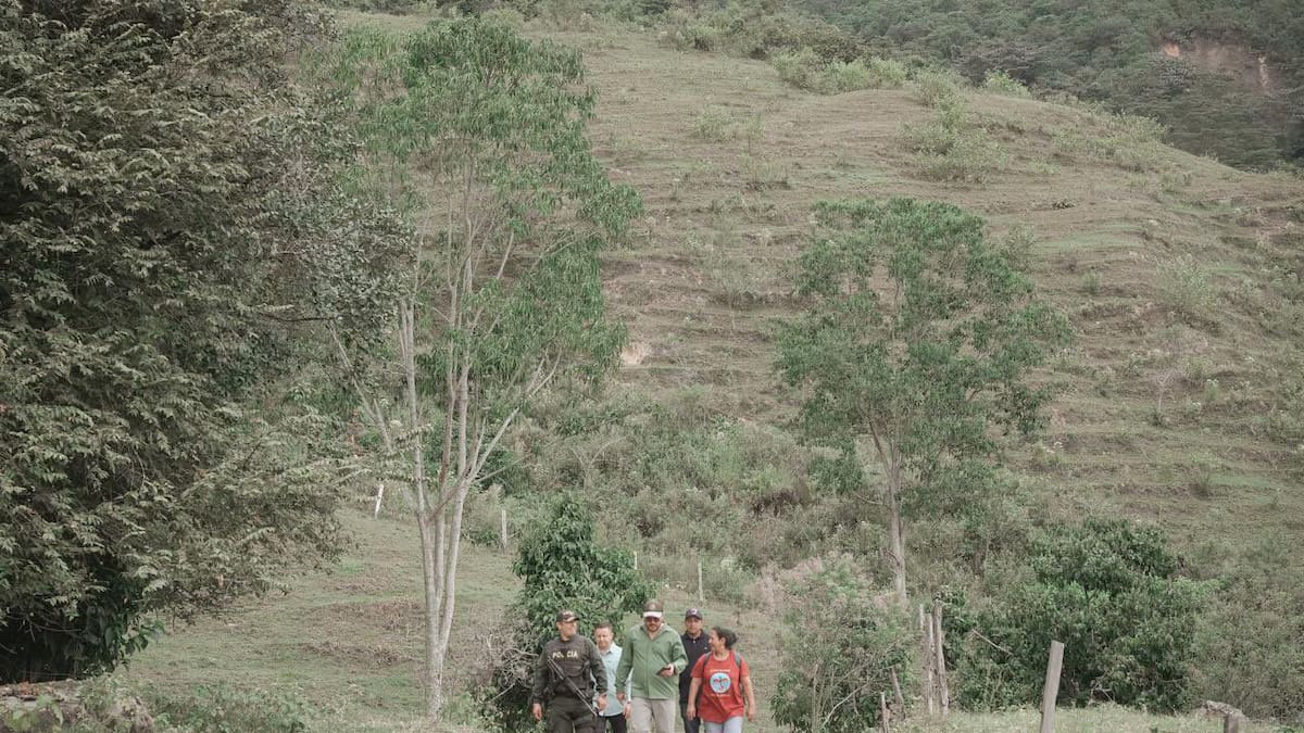 Admiten demanda contra decreto del gobierno que modifica la compra de tierras por parte de la ANT