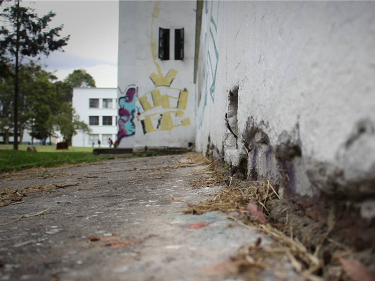 Los recursos para las universidades públicas llevan 25 años congelados: Jeniffer Pedraza
