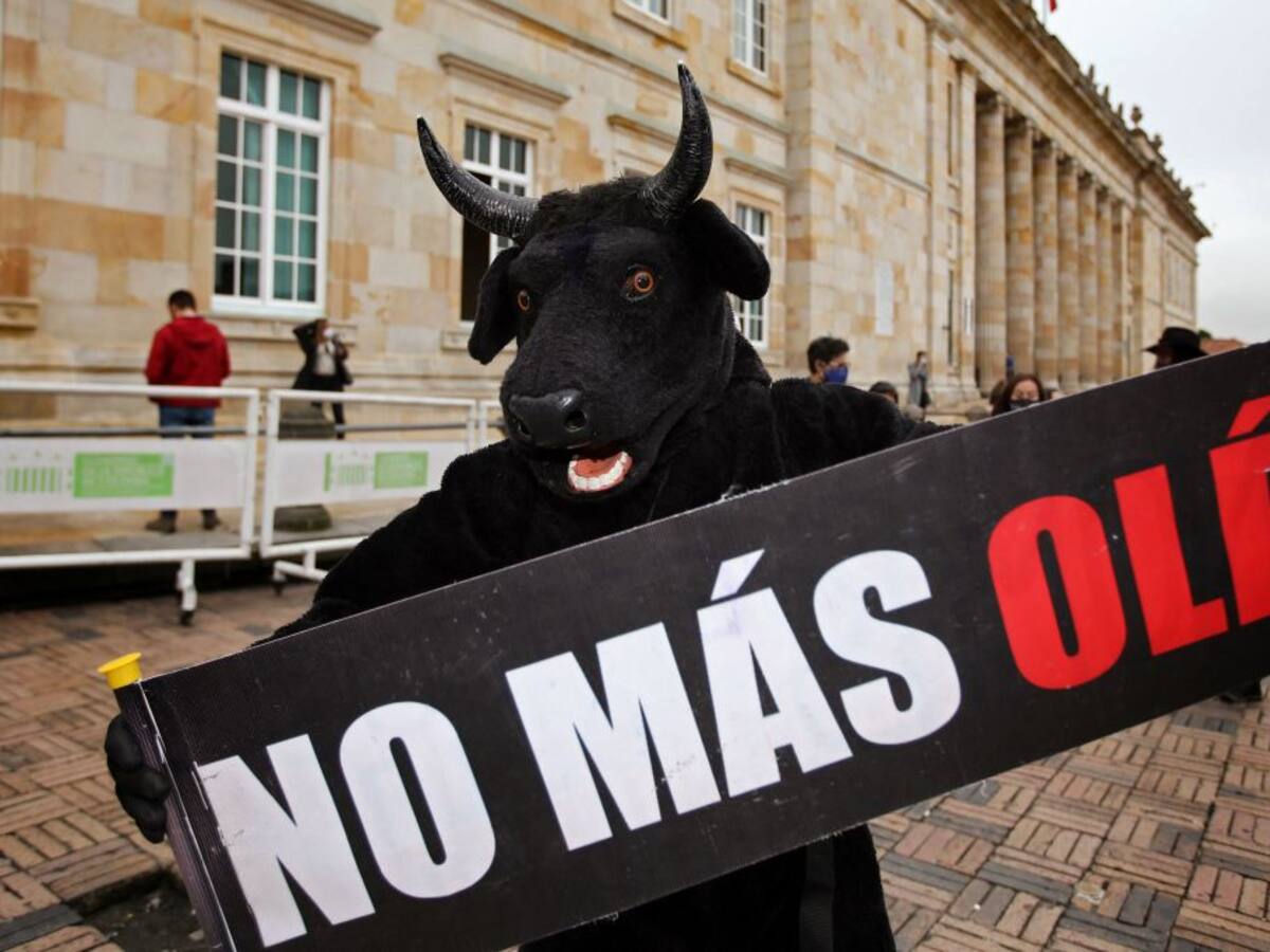 Prohibición de corridas de toros, a un debate de convertirse en ley en Colombia