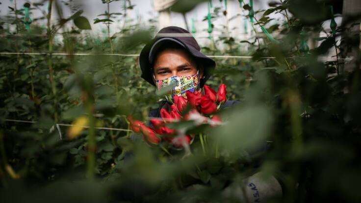 El daño no es perder un pedido, es perder un cliente: Augusto Solano