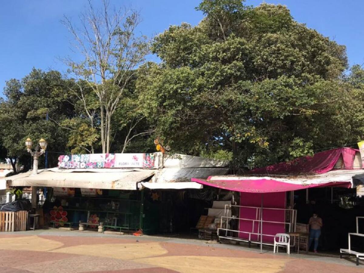 Gremio de las flores pide reactivación