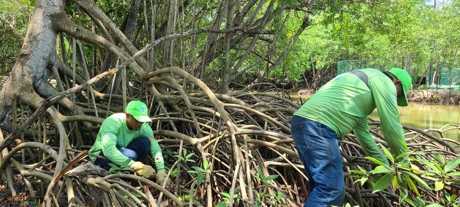 Alcaldía de Cartagena