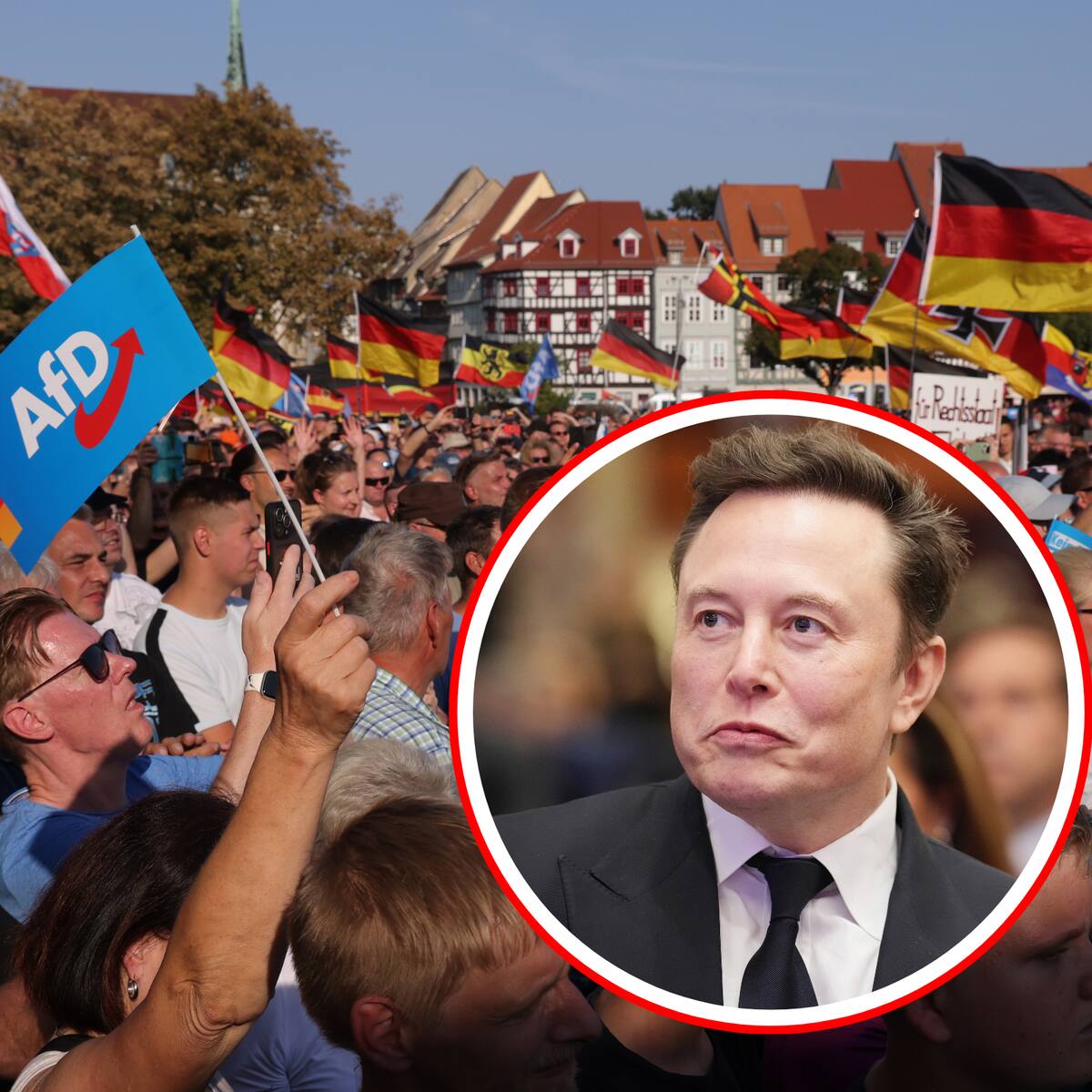 Alemania: gobierno acusa a Elon Musk de intentar influir en sus elecciones
