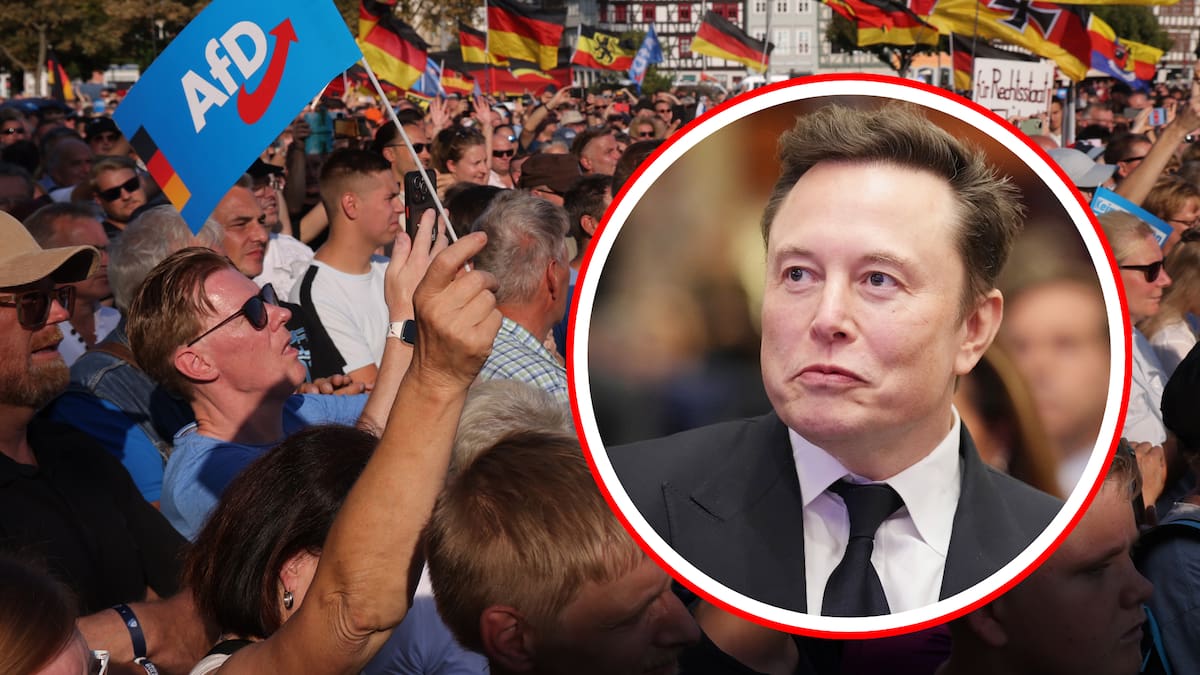 Alemania: gobierno acusa a Elon Musk de intentar influir en sus elecciones
