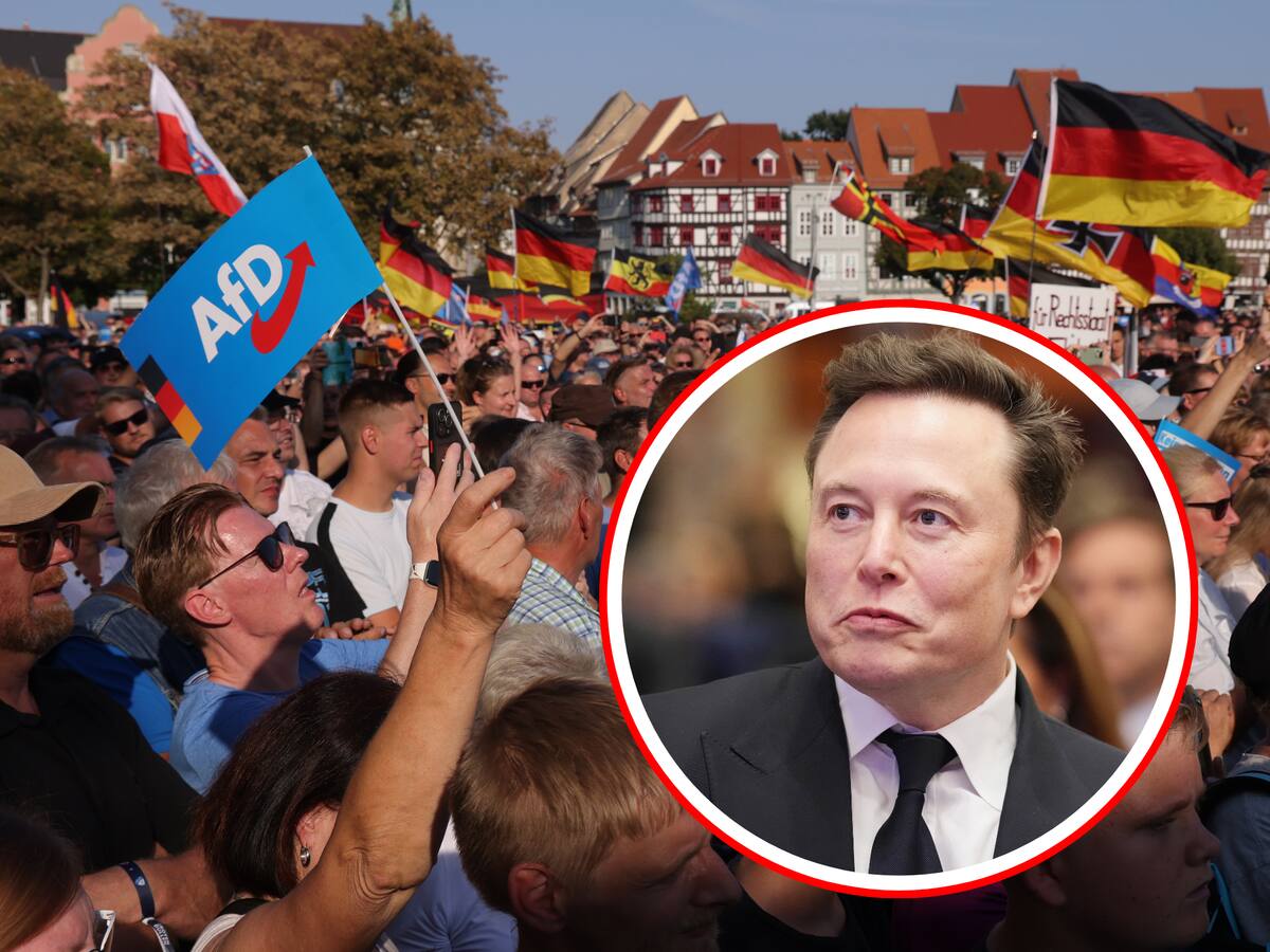Alemania: gobierno acusa a Elon Musk de intentar influir en sus elecciones