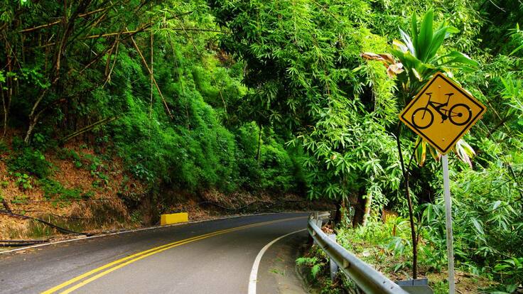 Puente festivo sin elecciones, ¿cómo avanza el plan retorno? Conozca las restricciones.