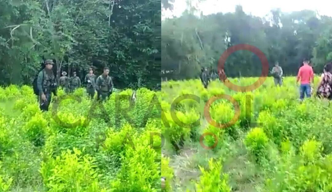 Gobierno nacional reconoce incursión de militares venezolanos 