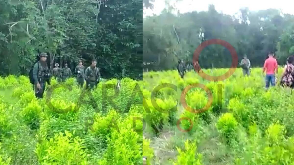 Se conocen evidencias sobre incursión de militares venezolanos en Tibú
