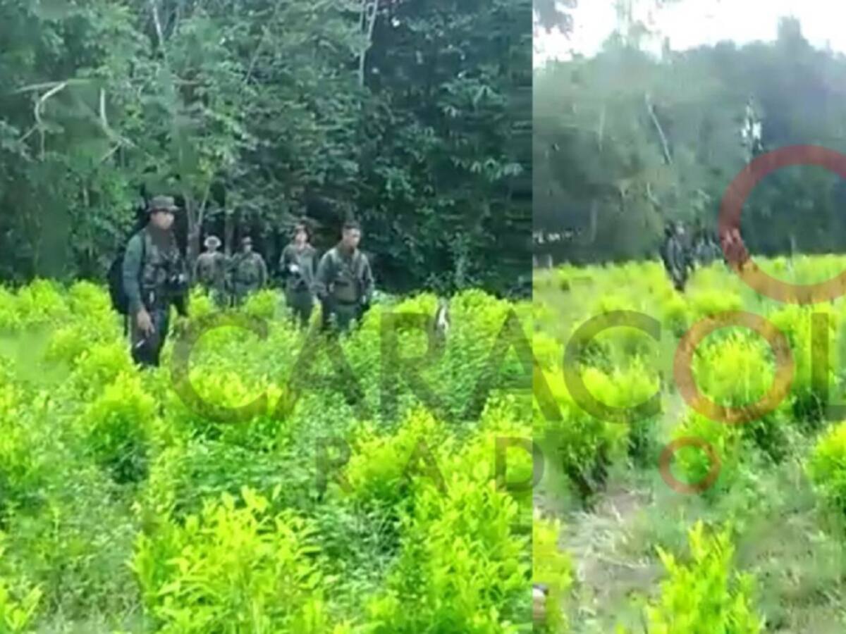 Se conocen evidencias sobre incursión de militares venezolanos en Tibú