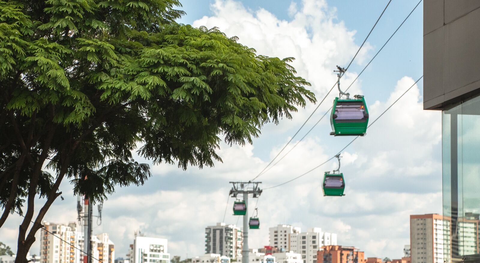 Fotografía suministrada: Alcaldía de Pereira