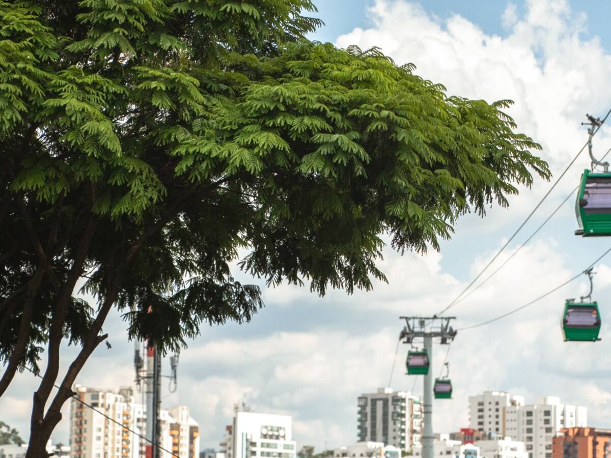 Atención: Megacable tendrá cierre por mantenimiento la última semana de septiembre