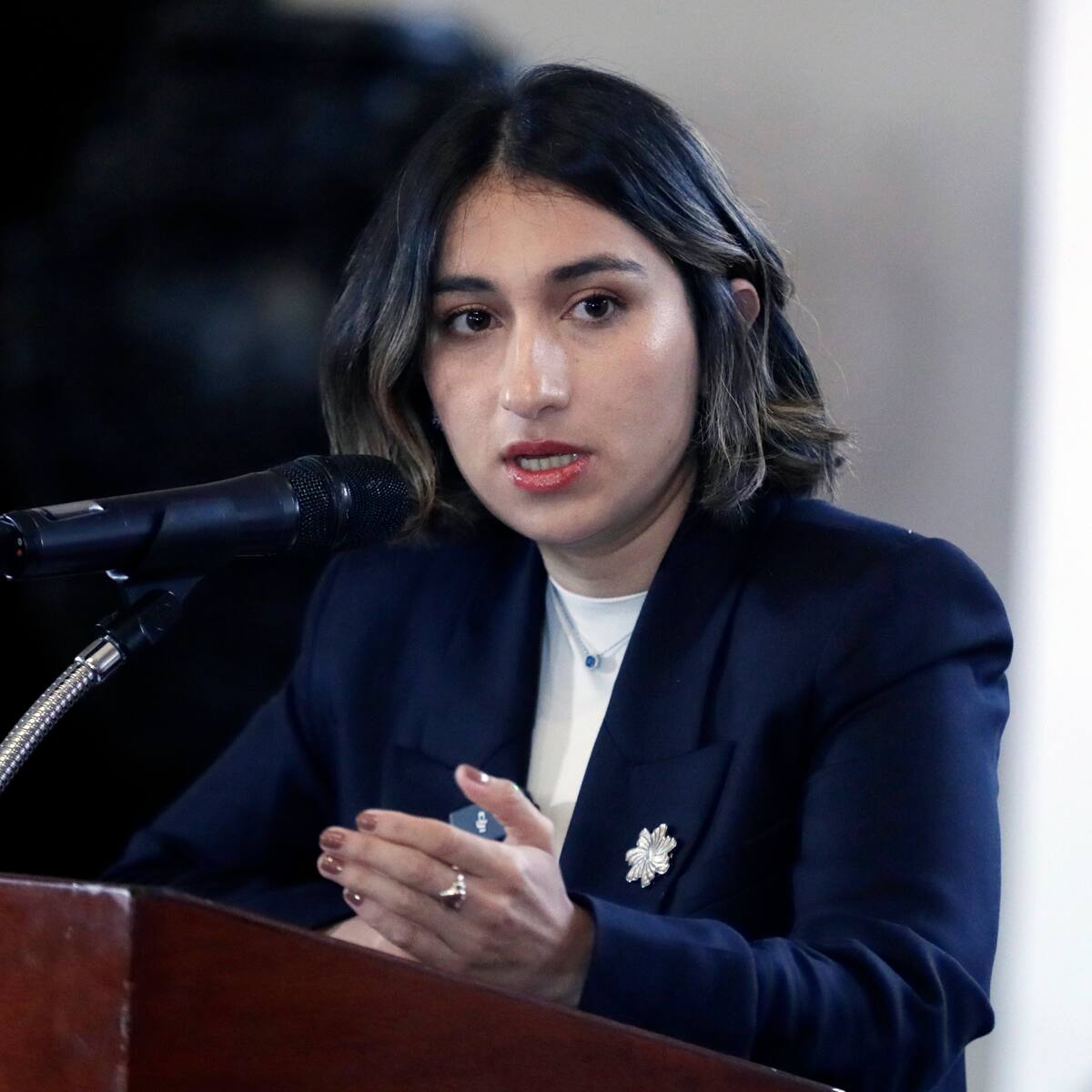 Canciller Sarabia gestiona crisis con Estados Unidos tras llamado a consultas del embajador McNamara