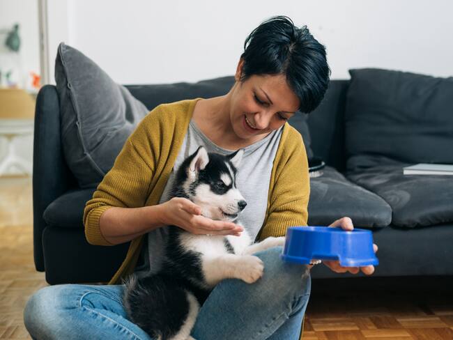 Mujer dando comida a su cachorro en casa (Foto vía Getty Images)