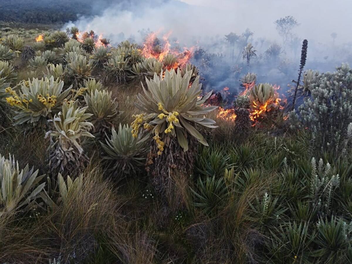 Incendio provoca emergencia ambiental en el Tolima