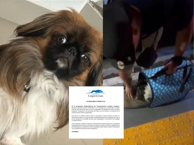 Maxi - Comunicado de Copetran - Cortesía redes sociales