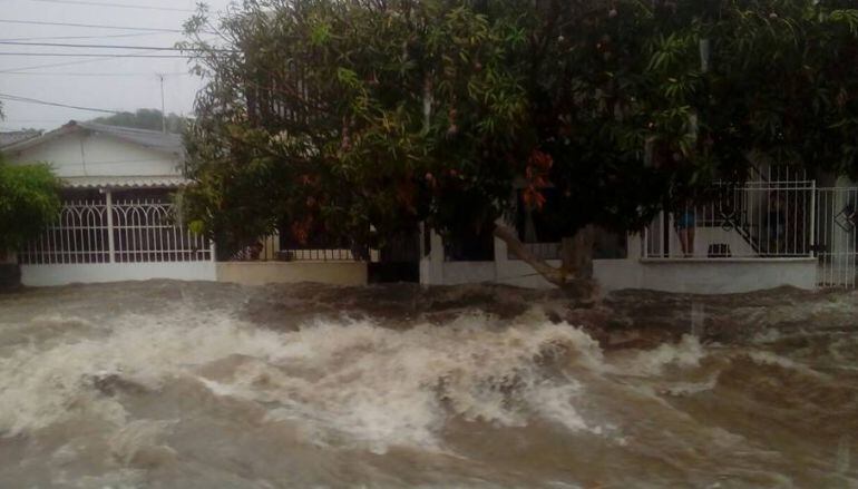 Imagen de referencia