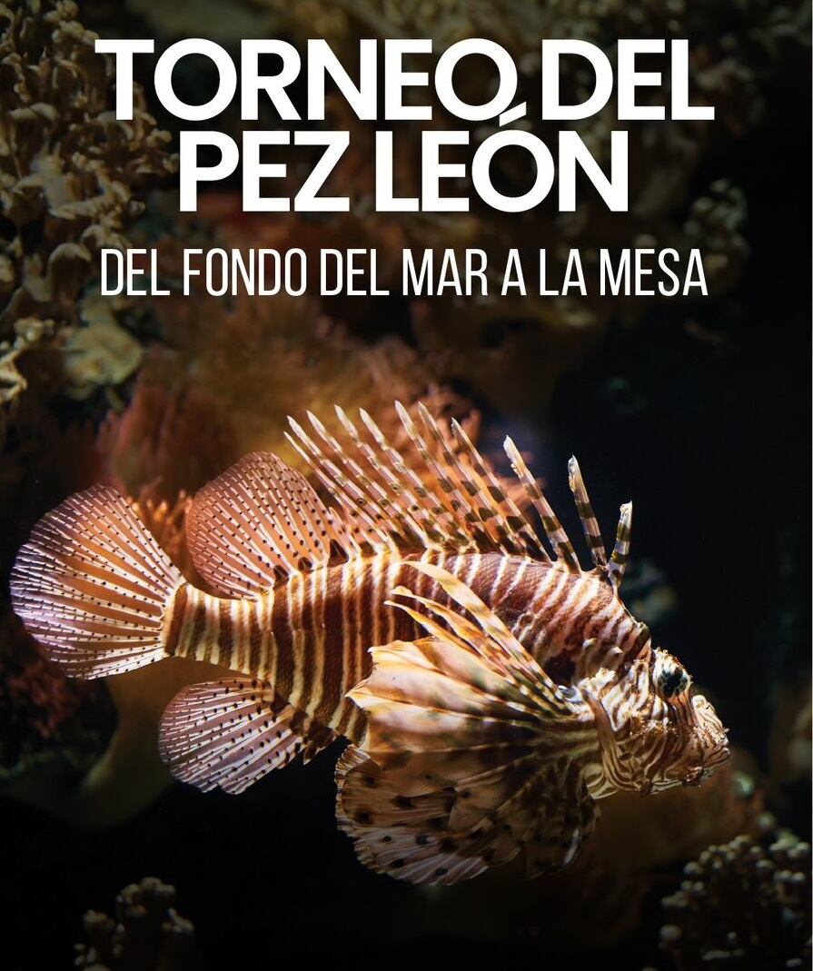 Alcaldía de Cartagena