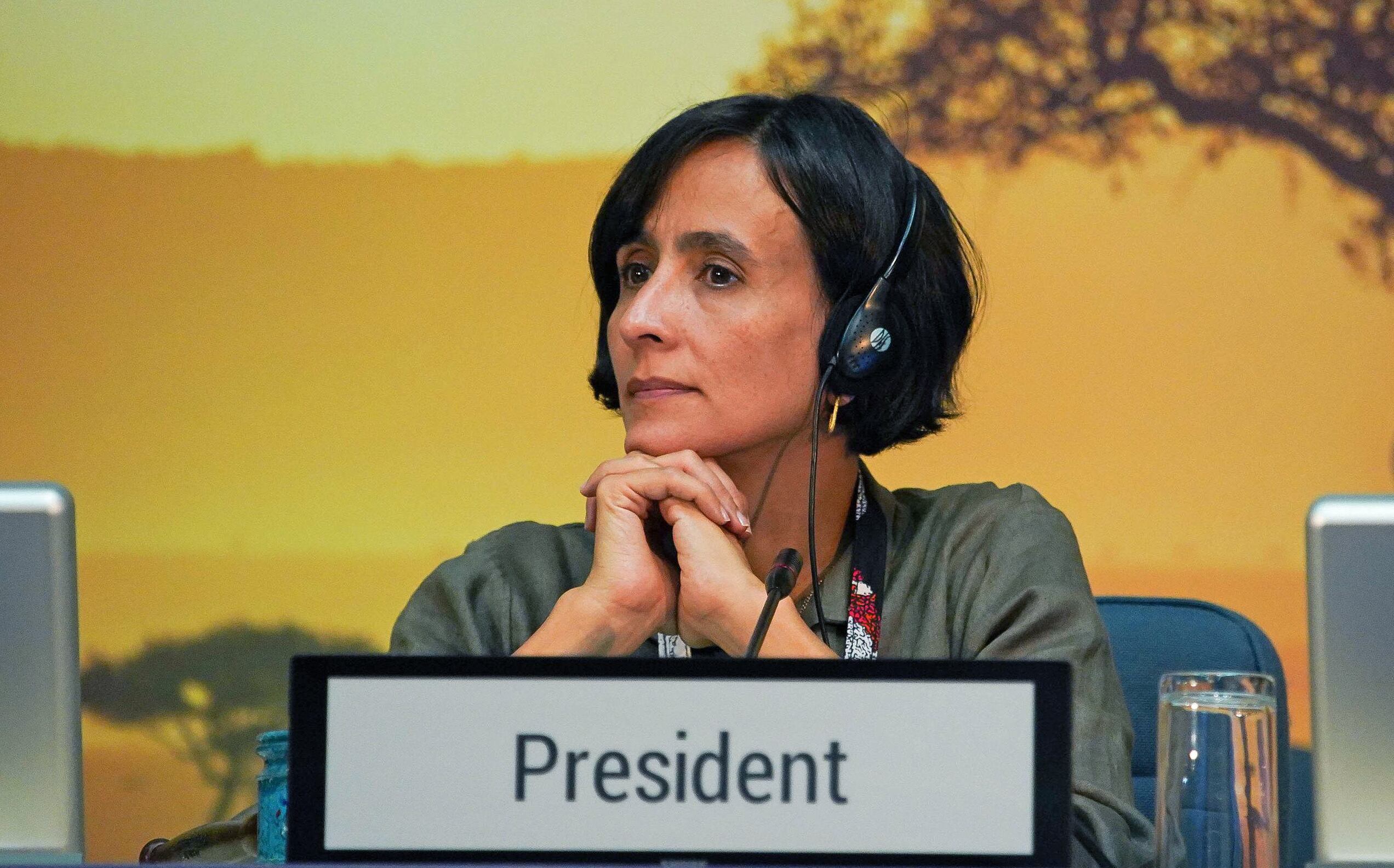 EFE/ Ministerio de Ambiente