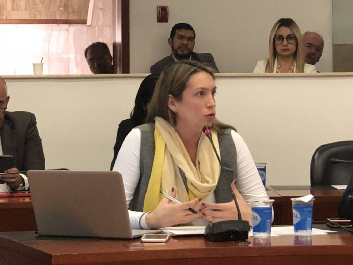 Sara Piedrahita: Aurelio Iragorri actuó con insolencia