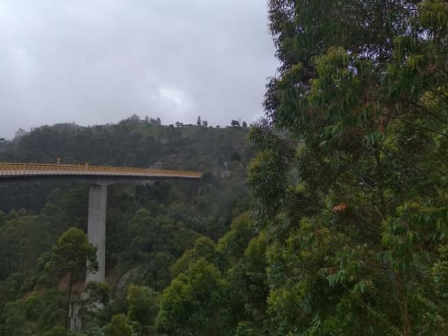 Túnel del Yarumo blanco en el Quindío