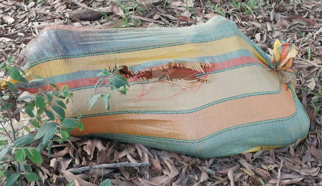 Cuerpo desmembrado de una mujer en Tierralta, Córdoba