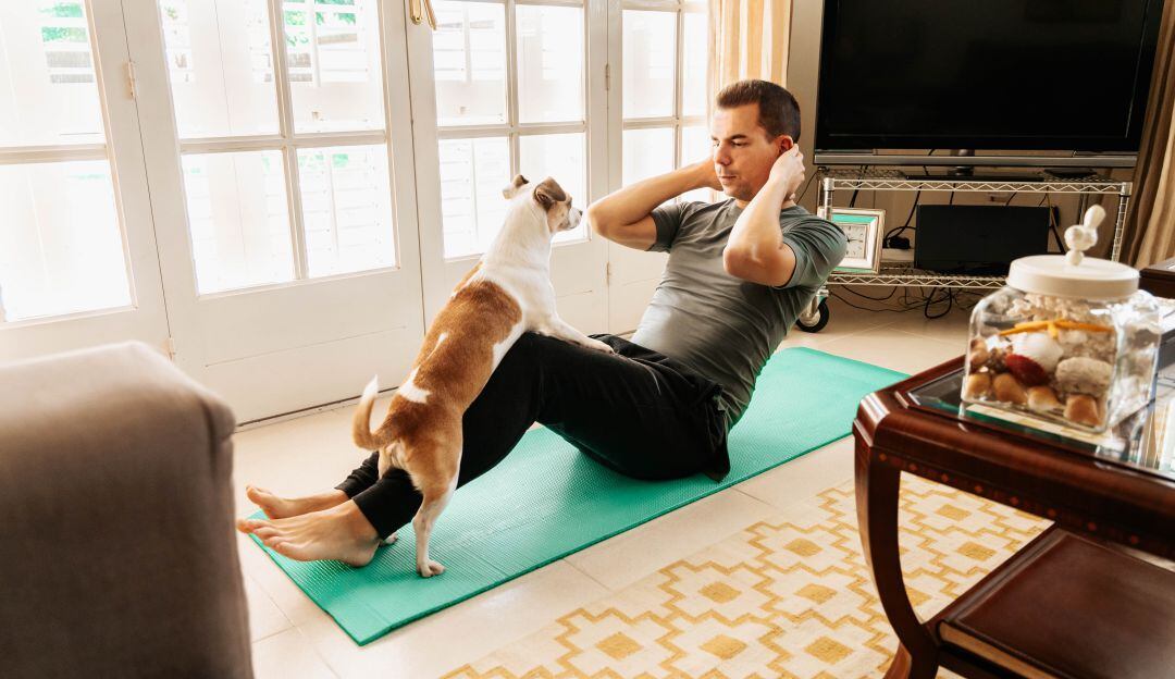 ¿Cómo entrenar y jugar con su mascota mientras está en casa?