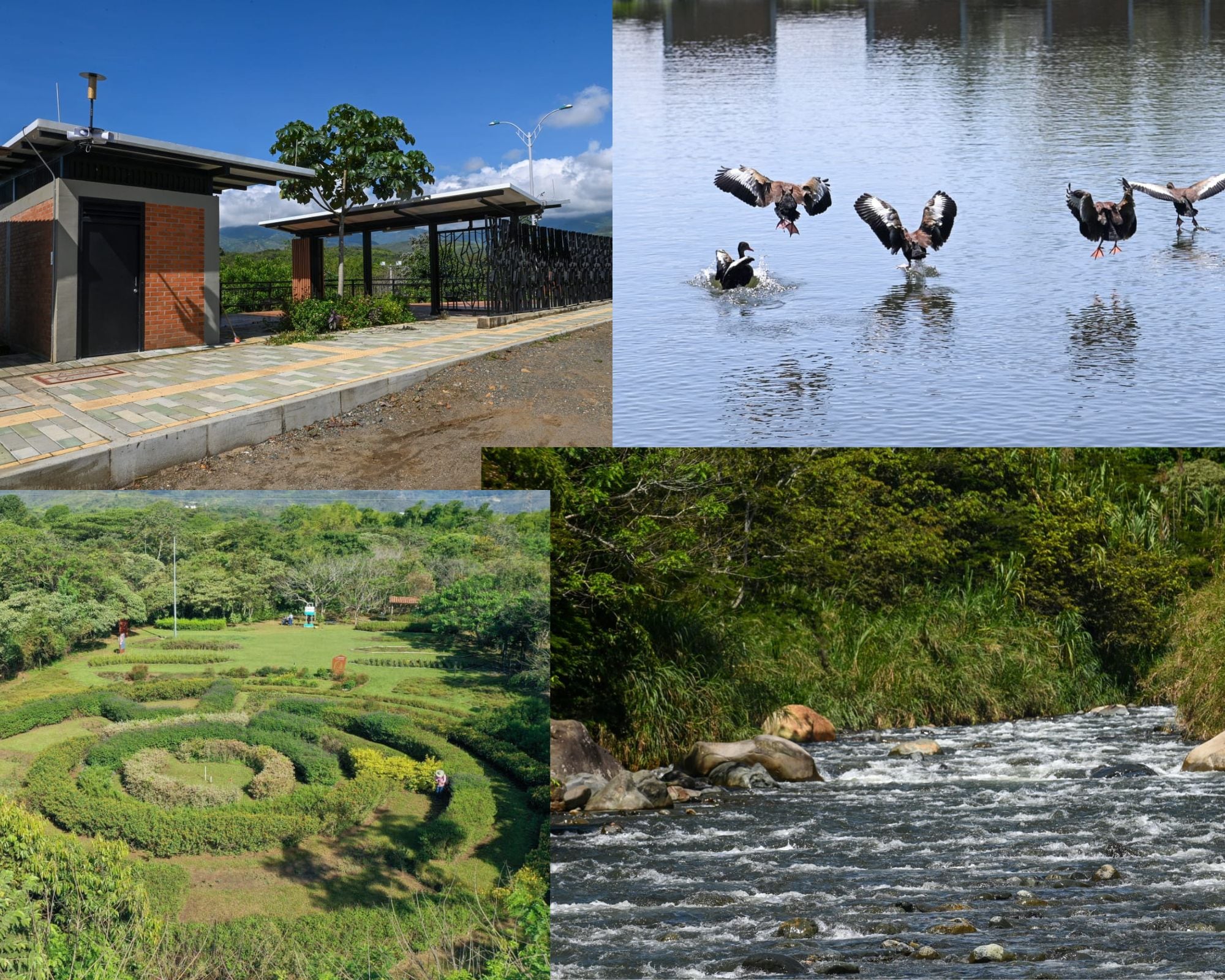 Parque de la Biodiversidad COP16 / Foto: Dagma Cali