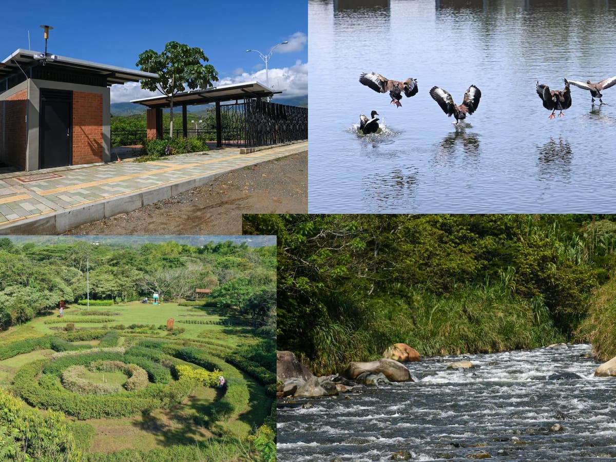 ¿Cómo visitar el Parque de la biodiversidad en Pance?