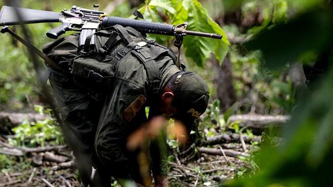 Rechazan erradicación forzada en Cajibío, Cauca. Foto: Colprensa
