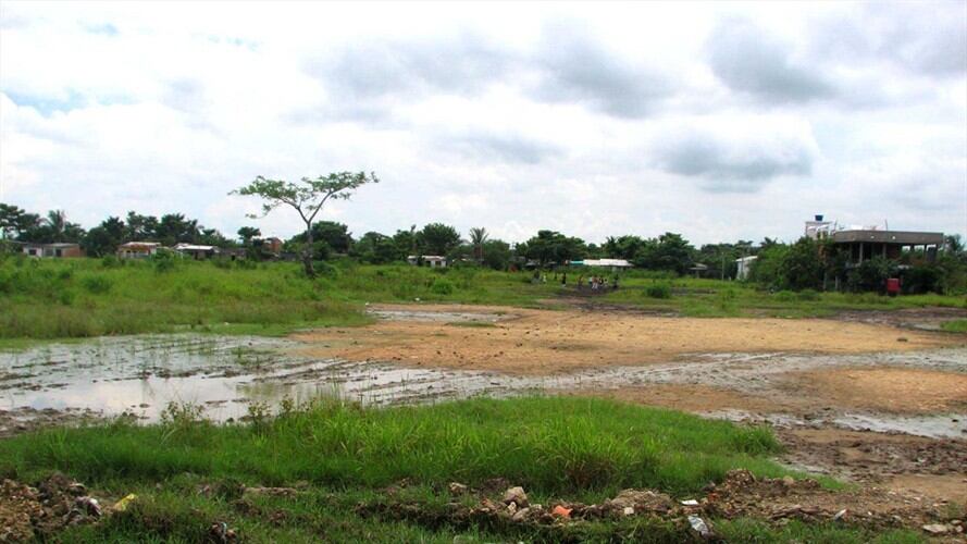 Fallo de la Corte abriría la puerta para la adjudicación de baldíos. Foto: Colprensa.