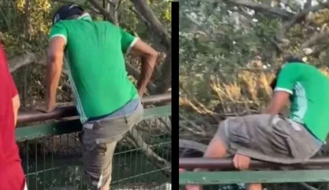 Le sentó mal la cerveza: Borracho se metió en jaula de cocodrilos