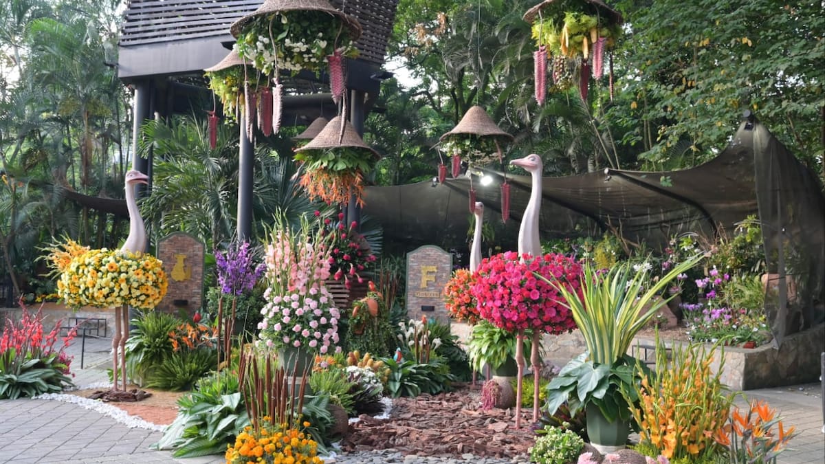 Arranca Florecer en el Jardín Botánico de Medellín con las orquídeas y flores como protagonistas