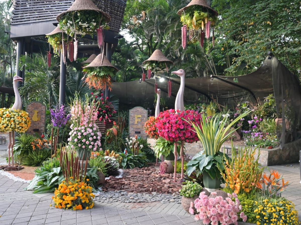 Arranca Florecer en el Jardín Botánico de Medellín con las orquídeas y flores como protagonistas