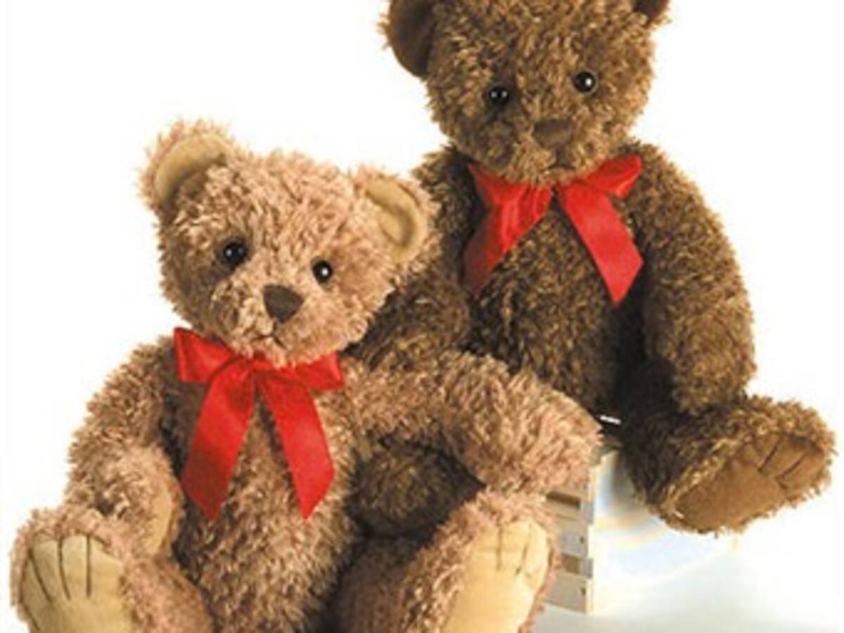Los terroristas planean utilizar osos de peluche para ocultar sus bombas: Wikileaks