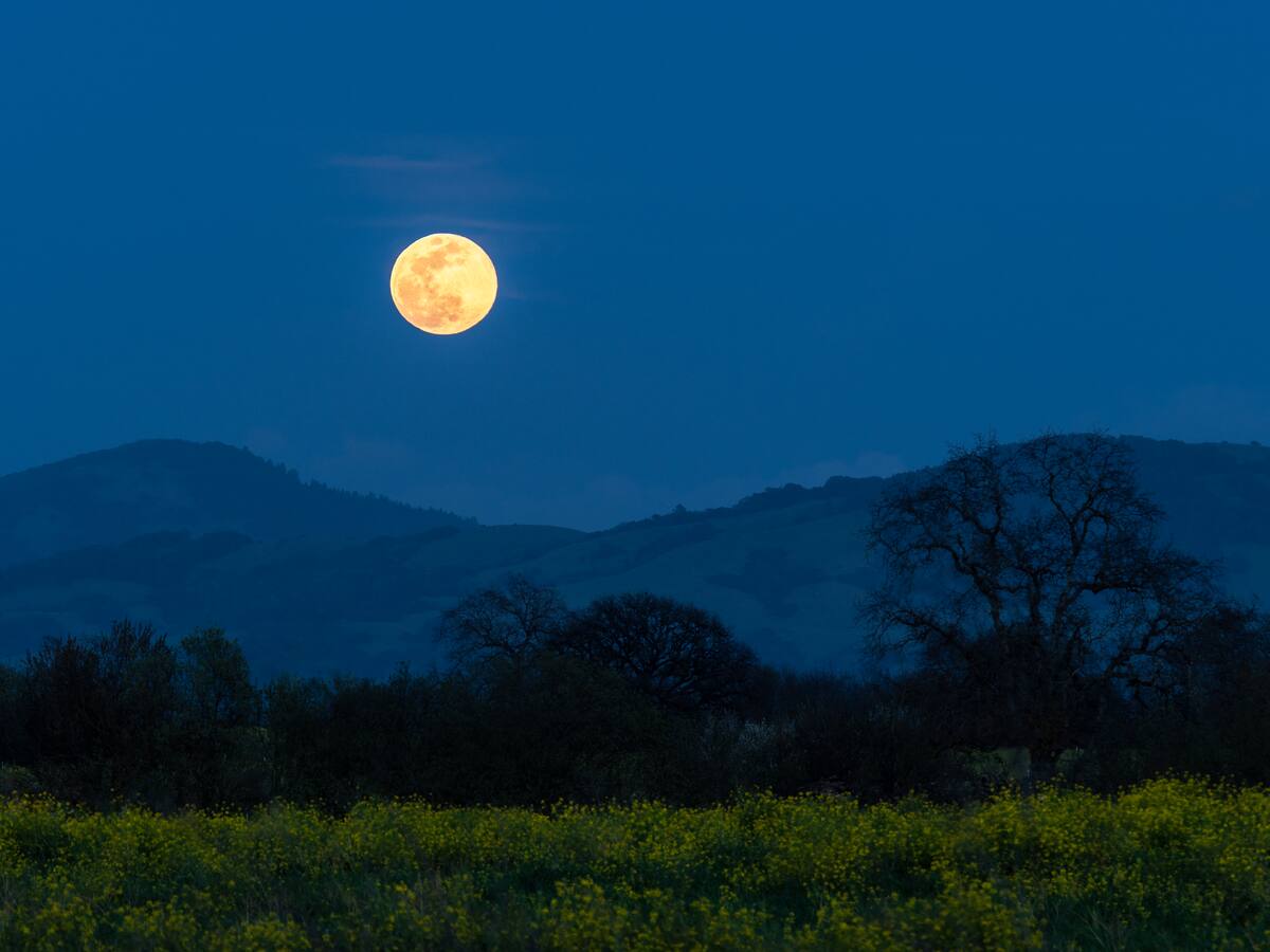 A qué hora saldrá la última SuperLuna de Cosecha del año en Colombia