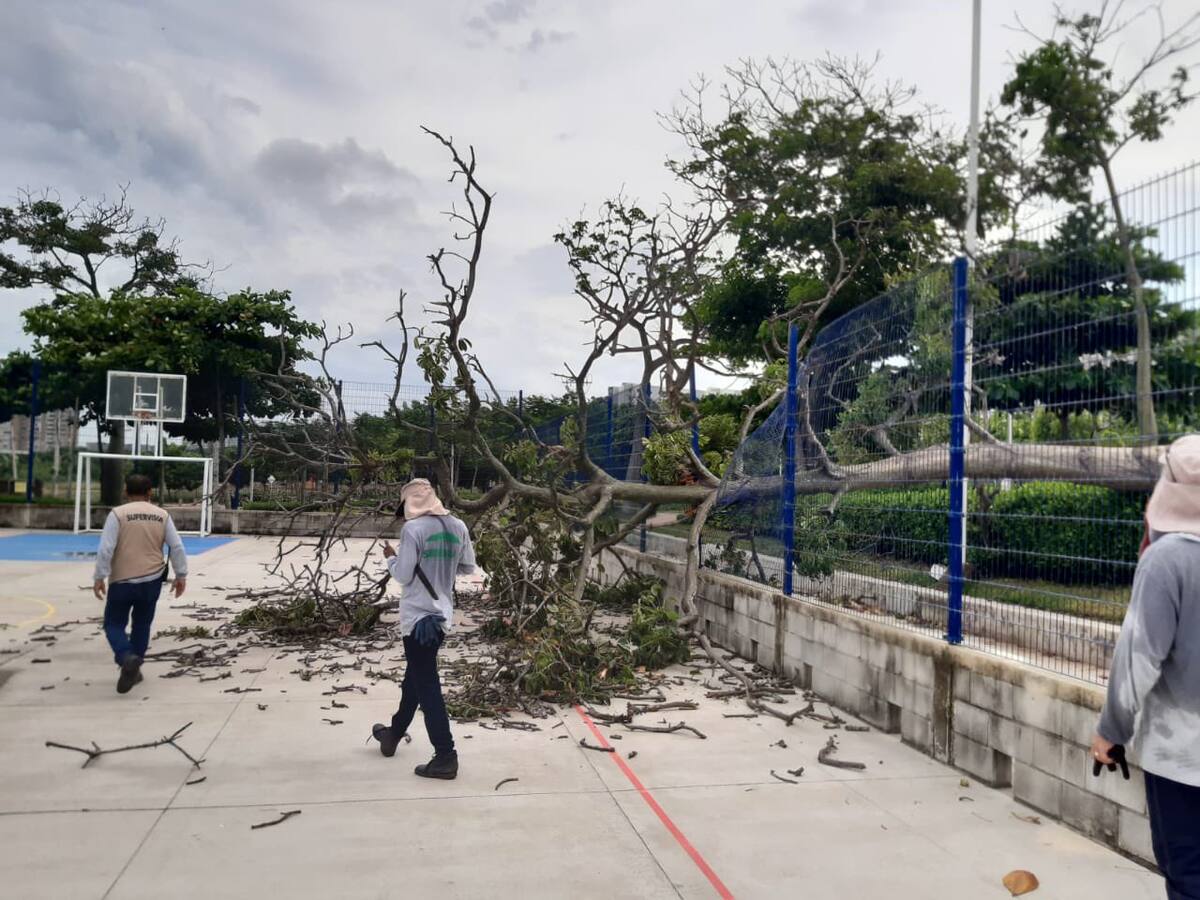 Declaran calamidad pública en Barranquilla por emergencias tras fuerte vendaval