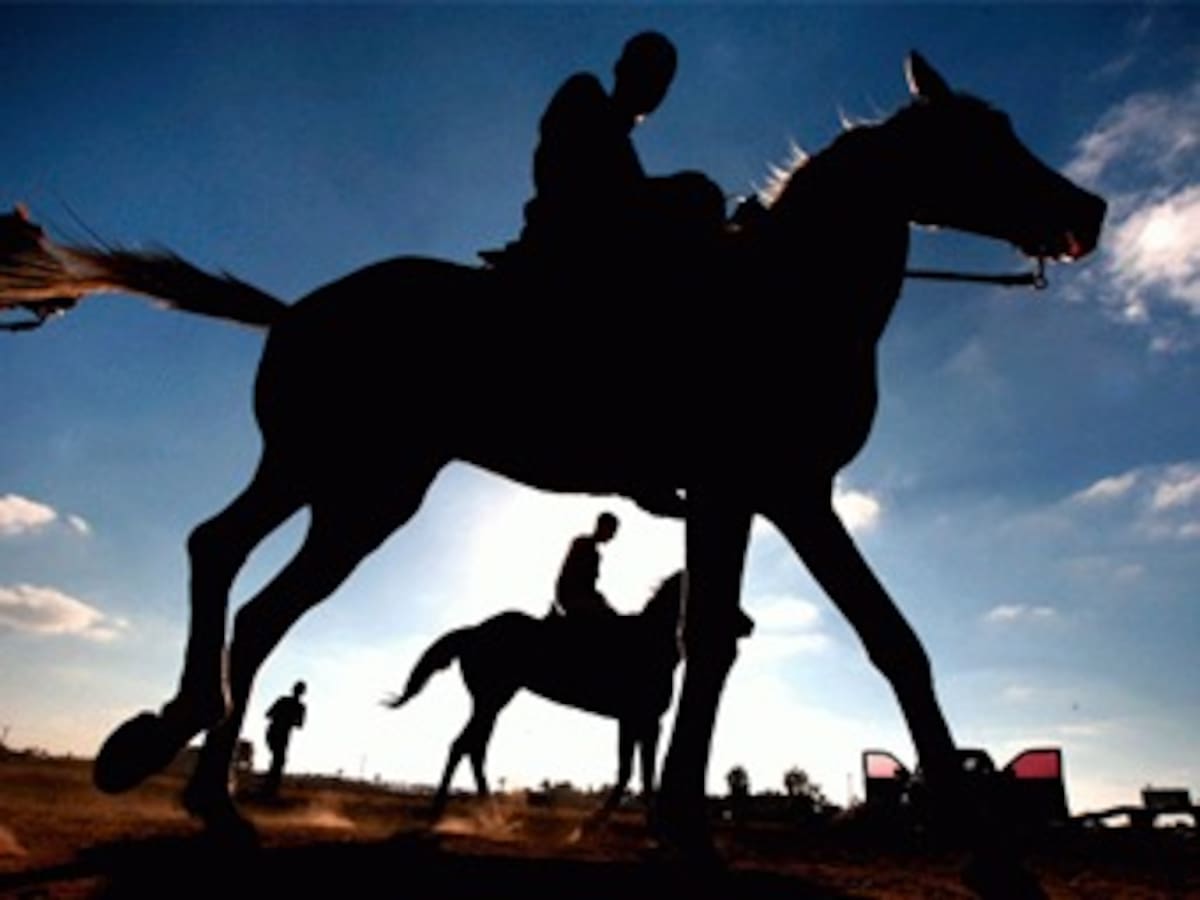 Terapia con caballos, nueva alternativa para mejorar la salud