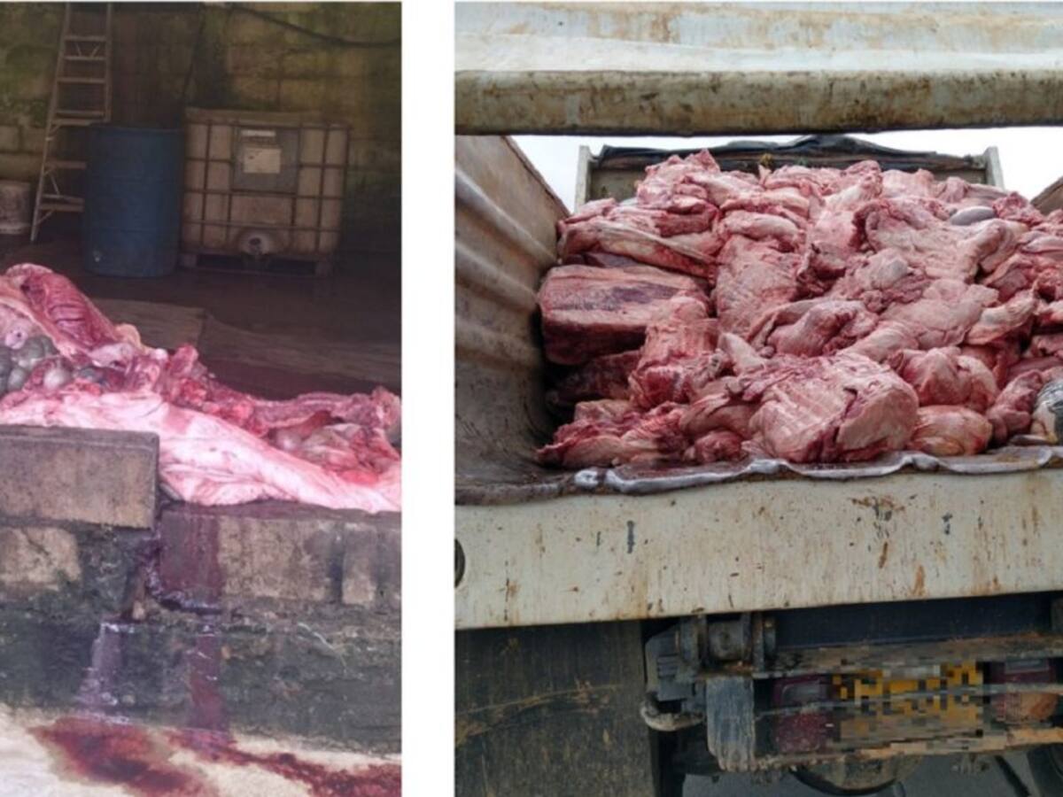 Incautan 8 toneladas de carne en un matadero ilegal de Donmatías