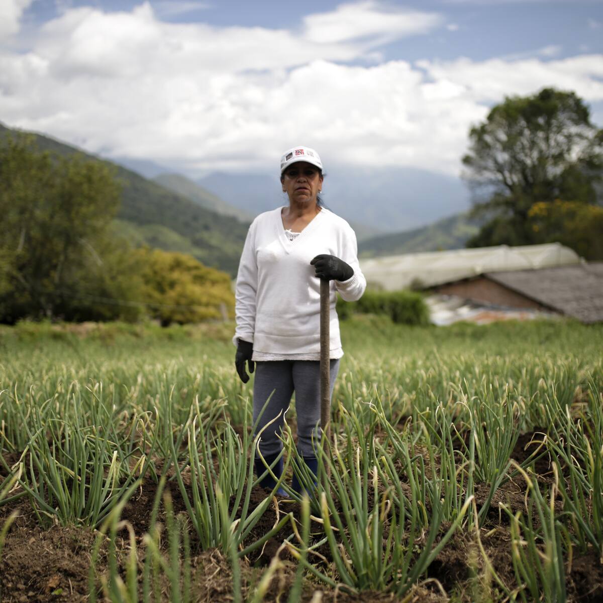ANT responde a campesinos por la entrega de tierra: “Este es el inicio de la reforma agraria”