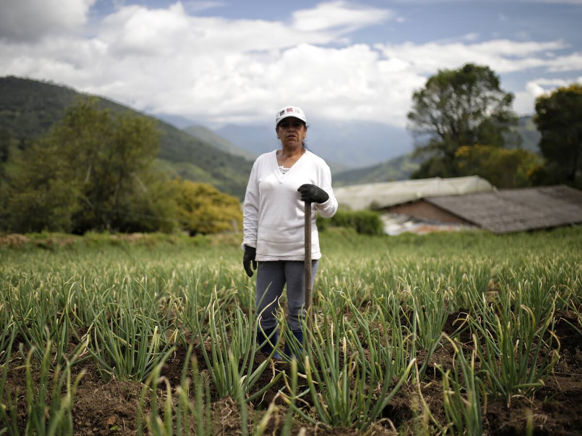 ANT responde a campesinos por la entrega de tierra: “Este es el inicio de la reforma agraria”