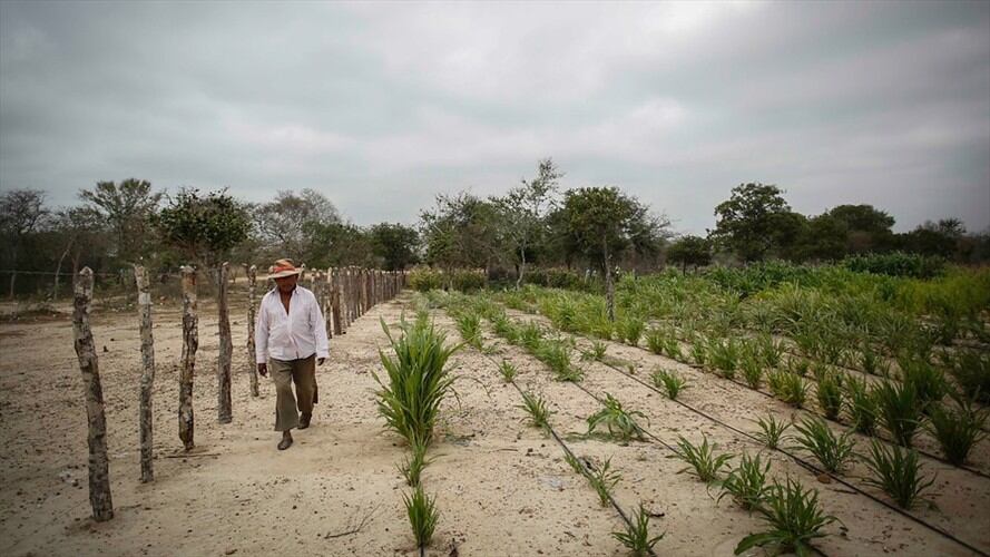 La Guajira. Foto: Colprensa