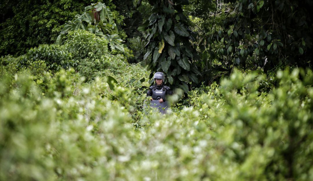 Es la segunda vez que el proyecto se hunde en el Congreso de la República